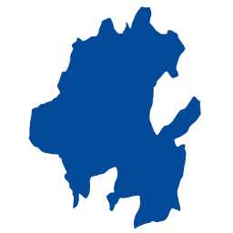 Hidalgo